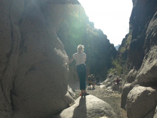 Big Bend Ranch State Park